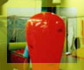 carrot balloon - carrot sealed air inflatable